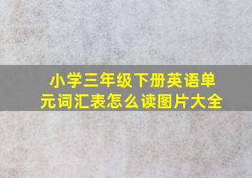 小学三年级下册英语单元词汇表怎么读图片大全