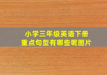 小学三年级英语下册重点句型有哪些呢图片