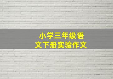 小学三年级语文下册实验作文