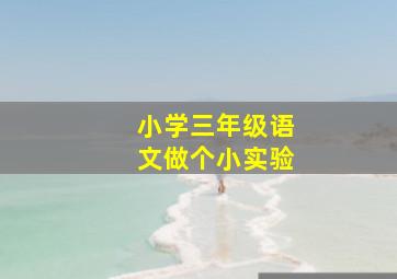 小学三年级语文做个小实验