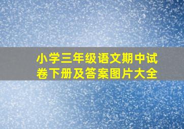 小学三年级语文期中试卷下册及答案图片大全