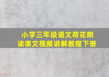 小学三年级语文荷花朗读课文视频讲解教程下册