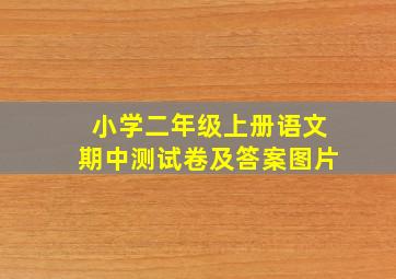 小学二年级上册语文期中测试卷及答案图片