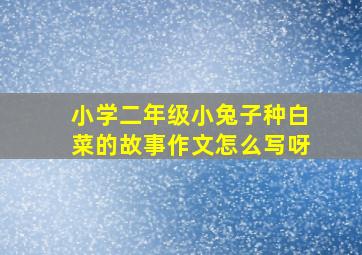 小学二年级小兔子种白菜的故事作文怎么写呀