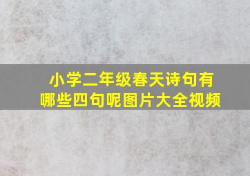 小学二年级春天诗句有哪些四句呢图片大全视频