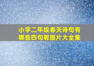 小学二年级春天诗句有哪些四句呢图片大全集