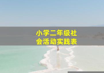 小学二年级社会活动实践表