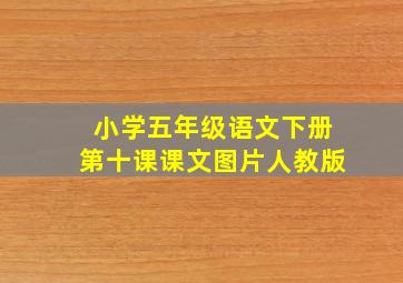 小学五年级语文下册第十课课文图片人教版