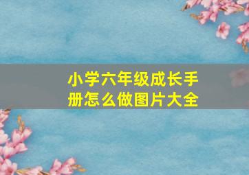 小学六年级成长手册怎么做图片大全