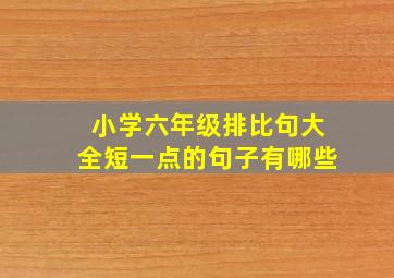 小学六年级排比句大全短一点的句子有哪些