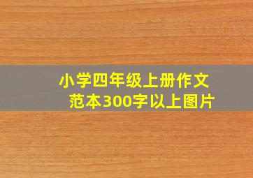 小学四年级上册作文范本300字以上图片