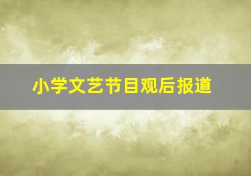 小学文艺节目观后报道