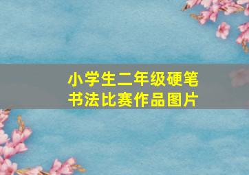 小学生二年级硬笔书法比赛作品图片