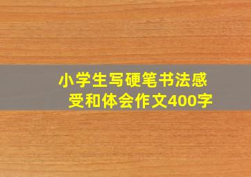 小学生写硬笔书法感受和体会作文400字