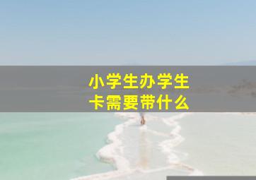 小学生办学生卡需要带什么