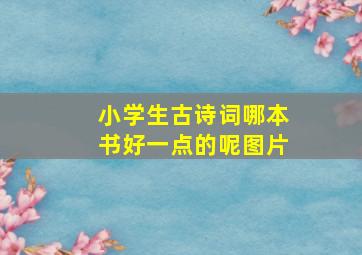 小学生古诗词哪本书好一点的呢图片