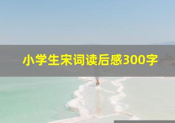 小学生宋词读后感300字