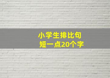 小学生排比句短一点20个字