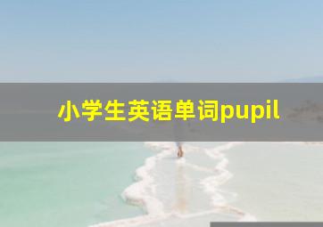 小学生英语单词pupil