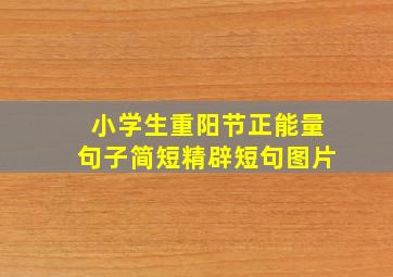 小学生重阳节正能量句子简短精辟短句图片