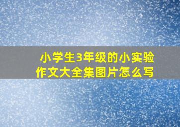 小学生3年级的小实验作文大全集图片怎么写