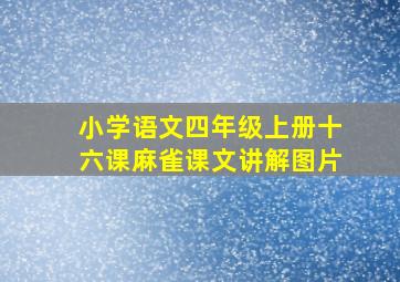 小学语文四年级上册十六课麻雀课文讲解图片