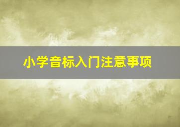 小学音标入门注意事项