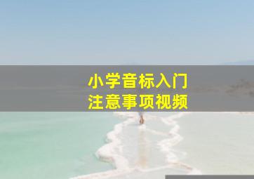 小学音标入门注意事项视频