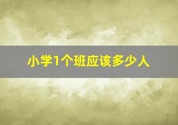 小学1个班应该多少人