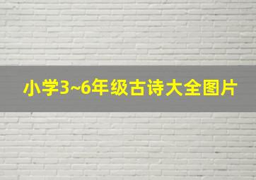 小学3~6年级古诗大全图片