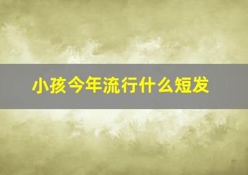 小孩今年流行什么短发