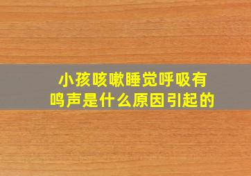 小孩咳嗽睡觉呼吸有鸣声是什么原因引起的