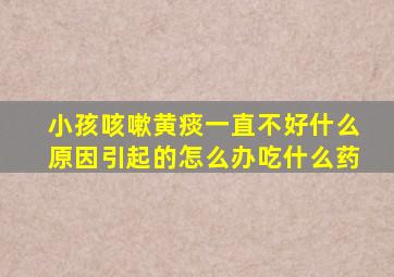 小孩咳嗽黄痰一直不好什么原因引起的怎么办吃什么药