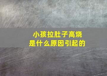 小孩拉肚子高烧是什么原因引起的