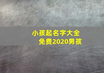 小孩起名字大全免费2020男孩