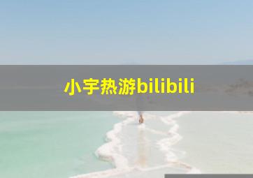 小宇热游bilibili