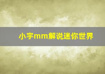 小宇mm解说迷你世界