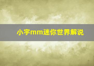 小宇mm迷你世界解说