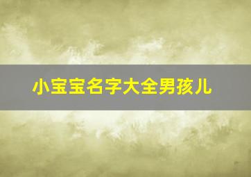 小宝宝名字大全男孩儿