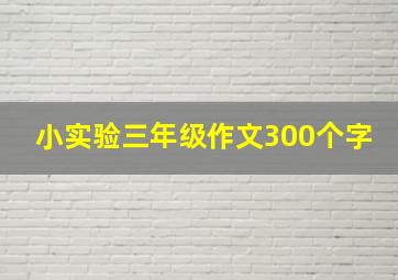 小实验三年级作文300个字