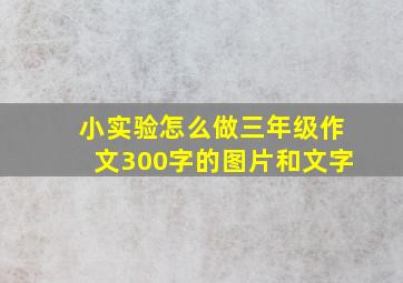 小实验怎么做三年级作文300字的图片和文字