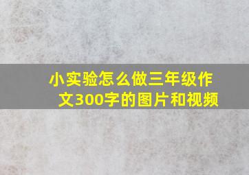 小实验怎么做三年级作文300字的图片和视频