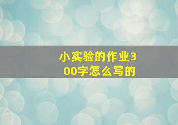 小实验的作业300字怎么写的