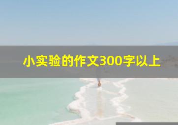 小实验的作文300字以上