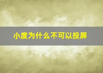 小度为什么不可以投屏