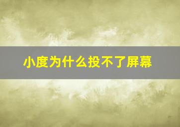 小度为什么投不了屏幕