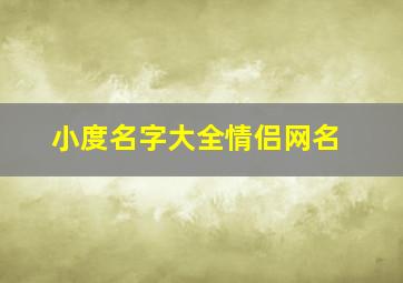 小度名字大全情侣网名