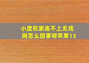 小度在家连不上无线网怎么回事呀苹果13