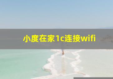 小度在家1c连接wifi