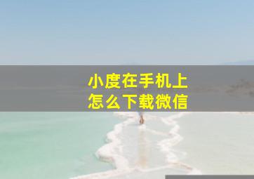 小度在手机上怎么下载微信